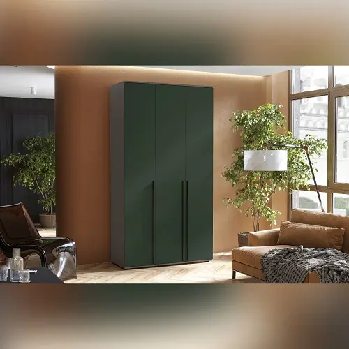 Шкаф в Калининграде Шкаф в Калининграде